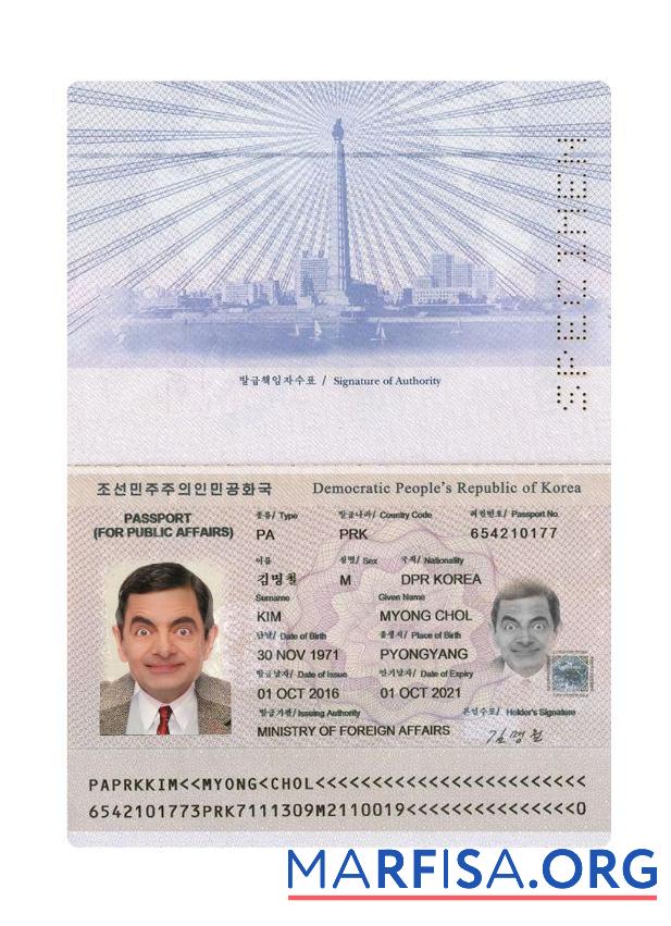 Downloadable Korea passport 2016 present example